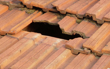 roof repair Silver Knap, Somerset